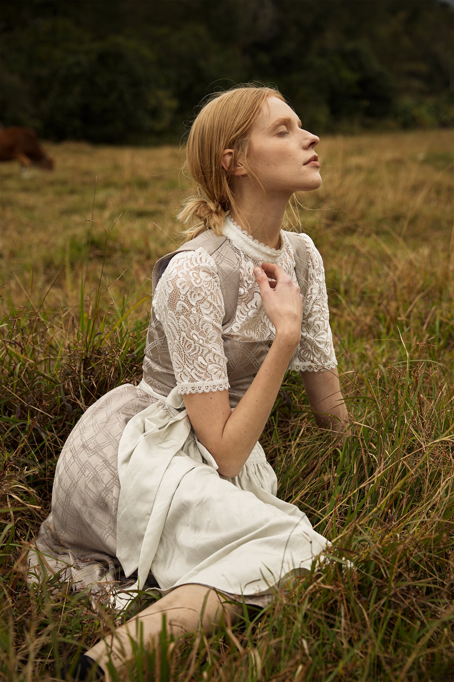 DIRNDL ROSALIE IN SILBER